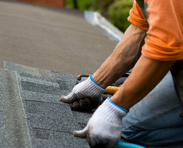 Best Local Roofing Companies  in Audubon Park, NJ